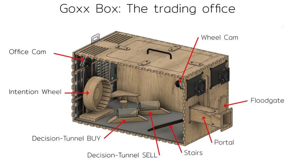 Удивительно сложная коробка Goxx Box соединяется с обычной клеткой Mr Goxx